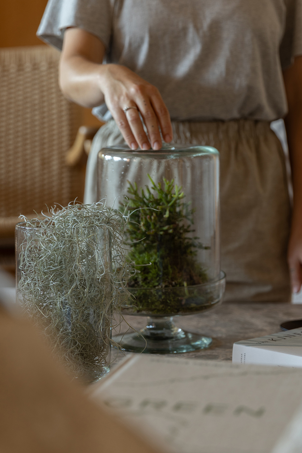 Biznaga Atelier. Trabajos de Interiorismo Verde y Cursos de Botánica