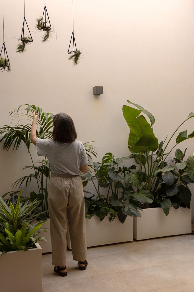 Biznaga atelier Elena Zafon interiorismo plantas botanico